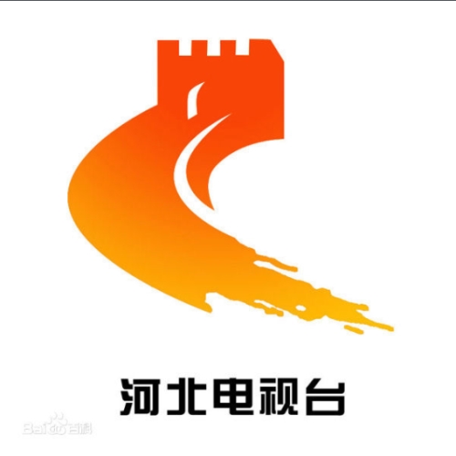 【河北省電視臺(tái)】和【協(xié)作促進(jìn)會(huì)】鄭會(huì)長來公司考察