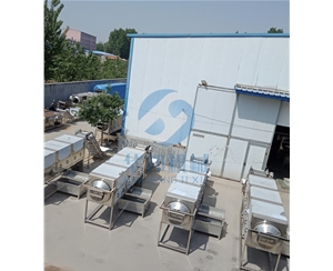 可調(diào)速核桃仁脫衣機(jī) 去皮核桃仁