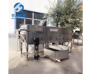 核桃仁去皮機(jī) 清水核桃仁脫衣機(jī) 綠色無(wú)污染