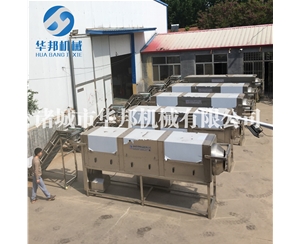 核桃仁去皮機 華邦機械核桃仁脫皮機視頻