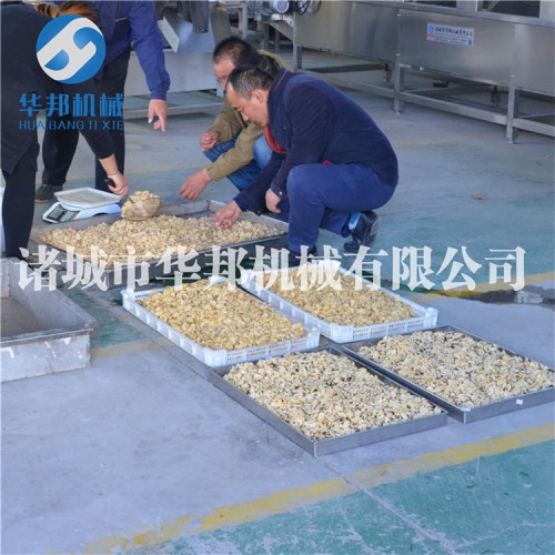 核桃仁脫皮機 華邦機械大批量核桃仁去衣設(shè)備