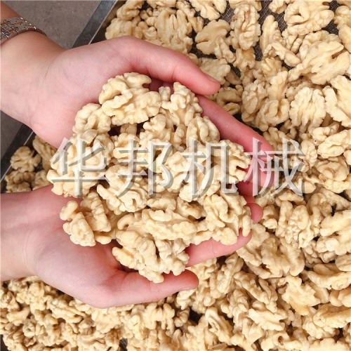 核桃仁脫皮機(jī) 華邦機(jī)械全自動(dòng)核桃仁去衣流水線(xiàn)