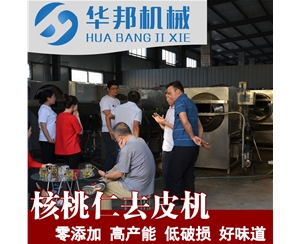商家優(yōu)良合作 核桃仁去皮清洗機 核桃仁脫皮機