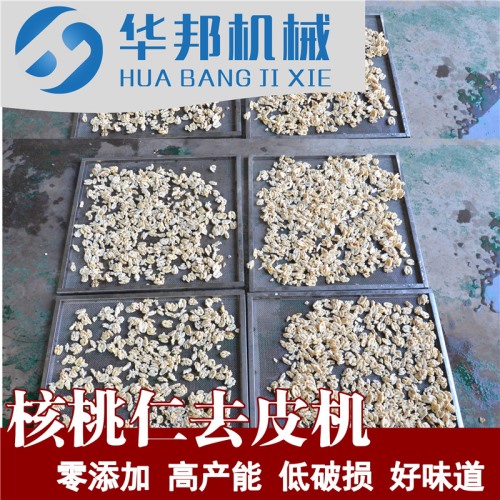 核桃仁脫皮機(jī) 自來水去皮 核桃仁去皮機(jī)供應(yīng)商
