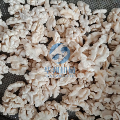 根據(jù)廠房定制 核桃仁去皮機