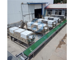 質(zhì)保12個月核桃仁去皮機