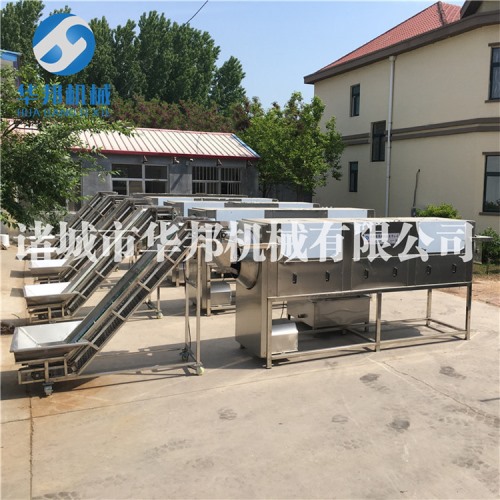 純物理核桃仁去皮機(jī) 全自動核桃仁去皮生產(chǎn)線