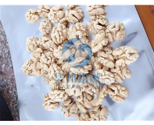脫皮率99% 核桃仁去皮機