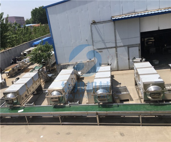 撫順核桃仁去皮機(jī)加工  華邦機(jī)械提供