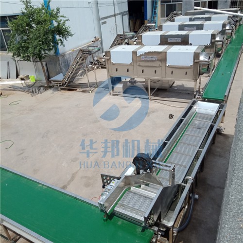 現(xiàn)場直觀 去皮核桃仁 核桃仁去皮機
