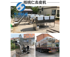 原理性質(zhì)核桃仁去皮機