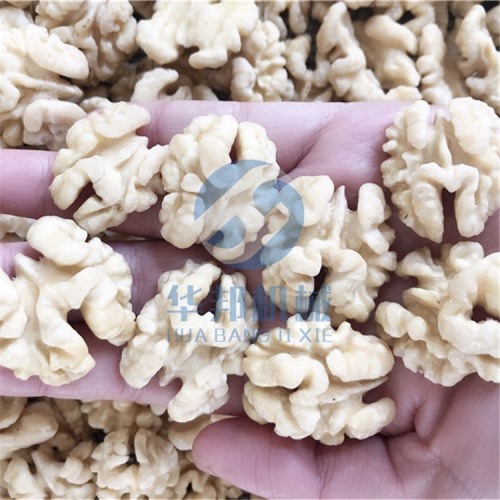 【全自動核桃加工流水線】