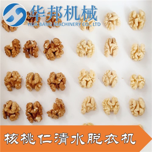 視頻 核桃仁去皮機(jī)