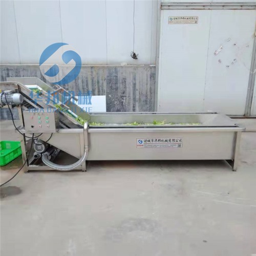 果蔬氣泡清洗機 凈菜加工設備 核桃仁清洗機