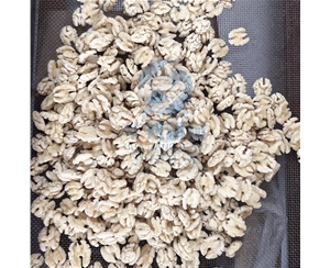 多型號 核桃仁去皮機(jī)