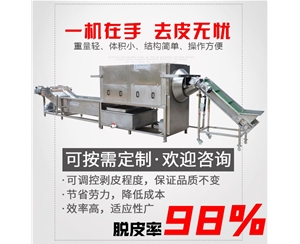 核桃仁去皮機 大型核桃仁去皮機