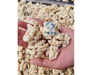 現(xiàn)貨 核桃仁去皮機(jī) 核桃仁脫衣機(jī)