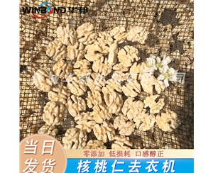 去皮核桃仁設(shè)備 每日堅果核桃仁去皮機