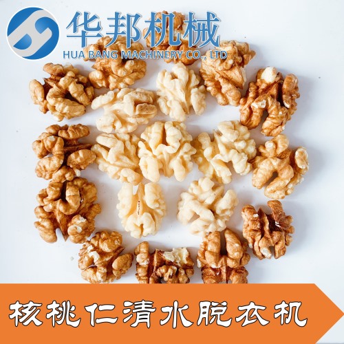 工廠現(xiàn)貨 華邦核桃仁去衣機 核桃仁加工成套設(shè)備