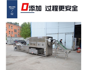 發(fā)貨上門(mén) 304核桃仁去皮機(jī) 純物理去皮機(jī)