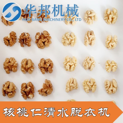 琥珀核桃仁去皮機 核桃仁剝皮機 質(zhì)保兩年