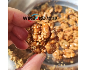 琥珀核桃仁設(shè)備 流水線掛糖機 提供技術(shù)